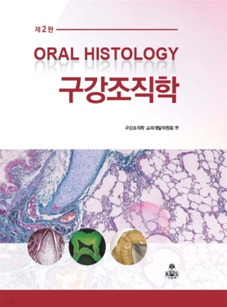 구강조직학