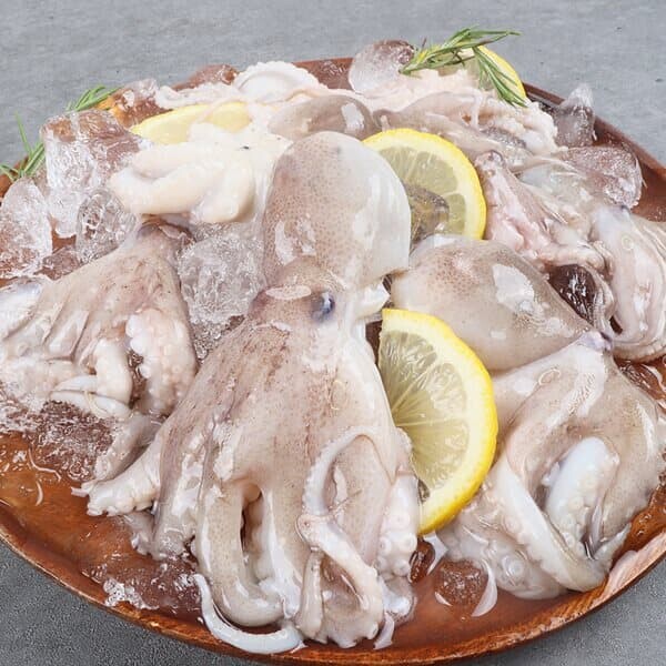 [잇츠푸드] 서해 급랭 냉동쭈꾸미 500g - YES24