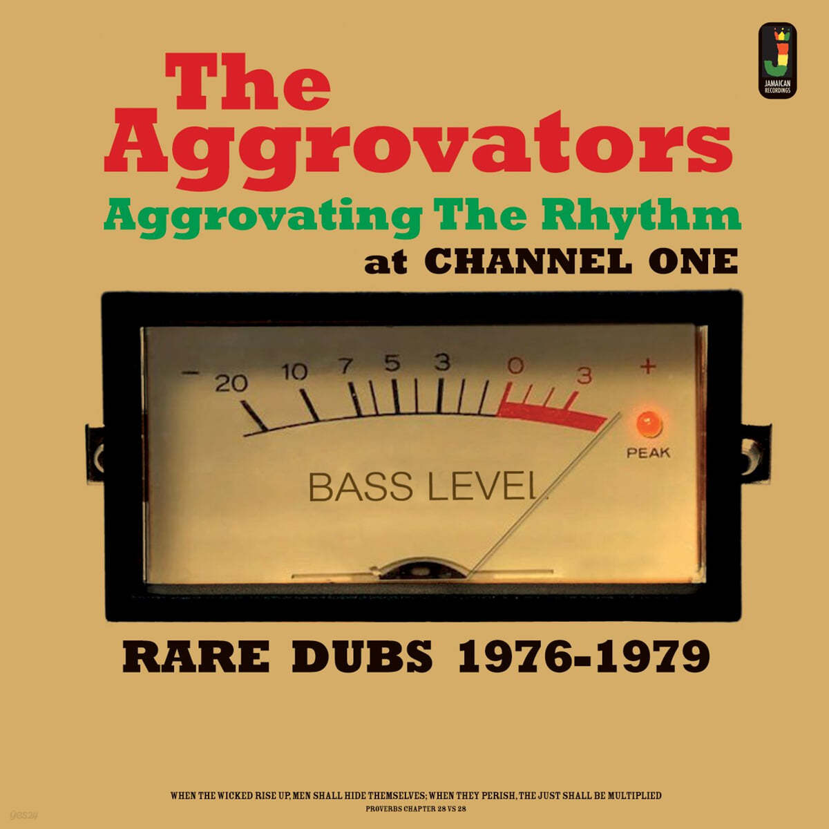 The Aggrovators (아그로베이터즈) - Aggrovating The Rhythm At Channel One: Rare Dubs 1976-1979 [LP] 