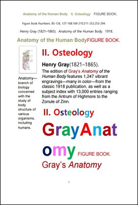 그레이 아나토미의, 제2권 골학 骨學 골해부학.도해 圖解 그림책. Gray’s Anatomy, II. Osteology. FIGURE BOOK, by Henry Gray