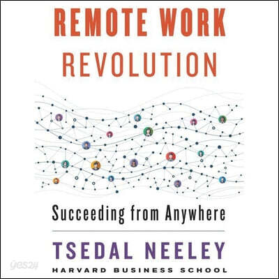 Remote Work Revolution Lib/E: Succeeding from Anywhere