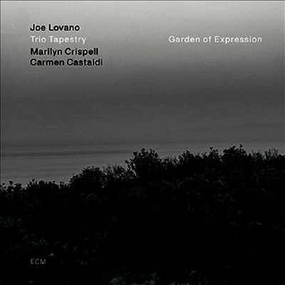 Joe Lovano — Garden Of Expression 앨범 커버