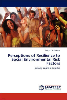 Perceptions of Resilience to Social Environmental Risk Factors