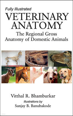 Veterinary Anatomy: The Regional Gross Anatomy of Domestic Animals (Completes in 2 Parts)