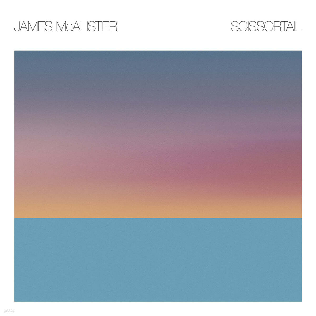 James McAlister (제임스 맥앨리스터) - Scissortail [LP]
