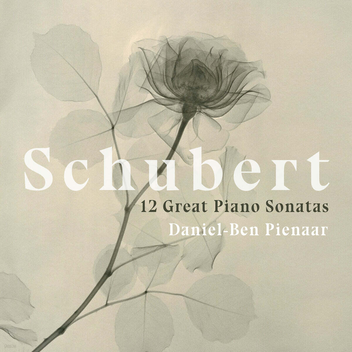 Daniel-Ben Pienaar 슈베르트: 12곡의 피아노 소나타 (Schubert: 12 Great Piano Sonatas)