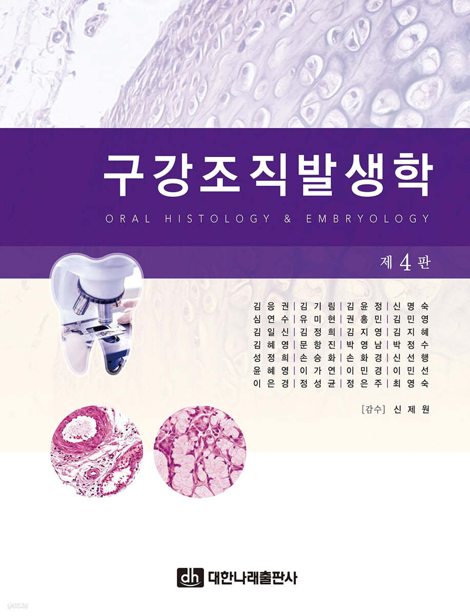 구강조직발생학