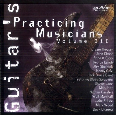 V.A. / Guitars Practicing Musicians Vol.3