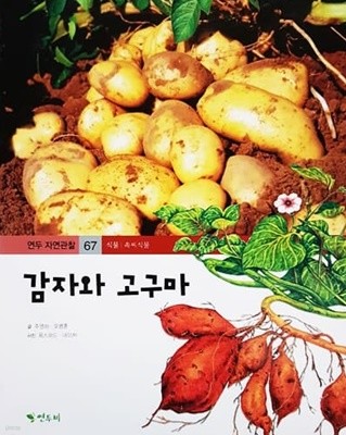 감자와 고구마 - 연두 자연관찰 67