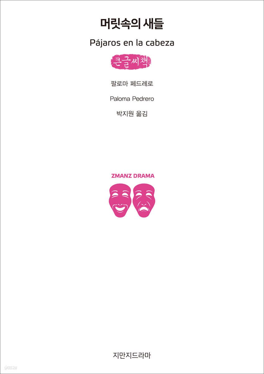 머릿속의 새들 (큰글씨책)