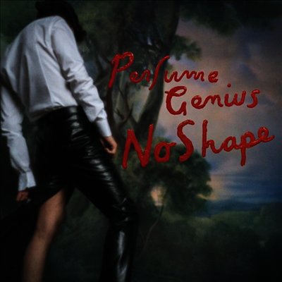 Perfume Genius — No Shape 앨범 커버
