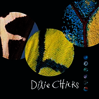 Dixie Chicks — Fly (Remastered)(Gatefold) 앨범 커버