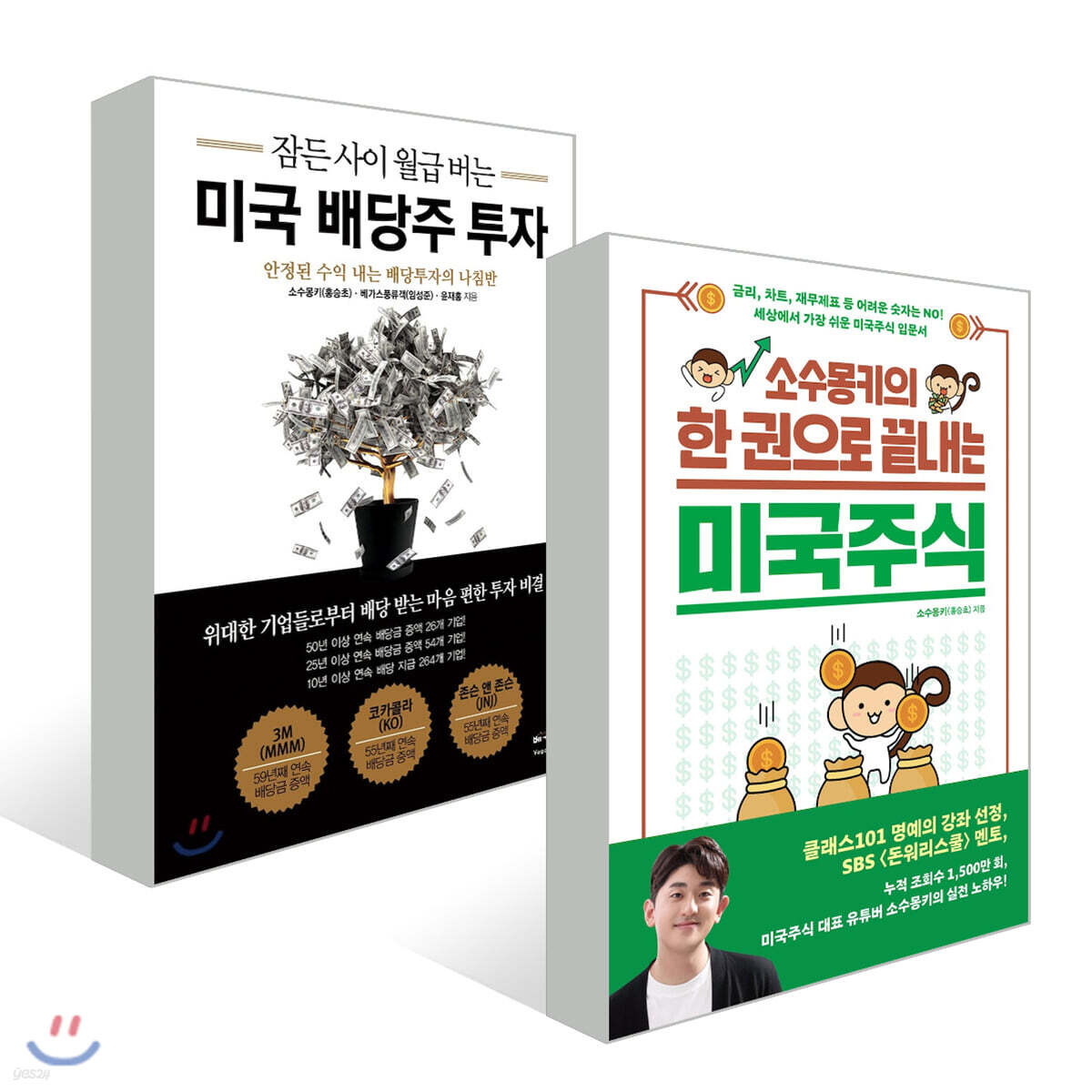 소수몽키의 한 권으로 끝내는 미국주식 + 잠든 사이 월급 버는 미국 배당주 투자