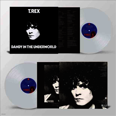 T. Rex — Dandy In The Underworld 앨범 커버