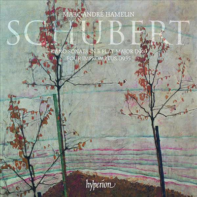 Ʈ: ǾƳ ҳŸ 21 & 4  (Schubert: Piano Sonata No. 21 & Four Impromptus, D935)(CD) - Marc-Andre Hamelin