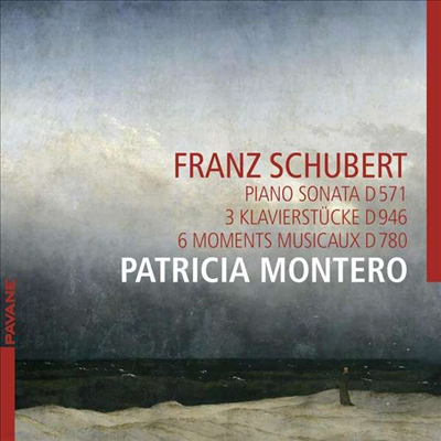 Ʈ: ǾƳ ǰ (Schubert: Works for Piano)(CD) - Patricia Montero