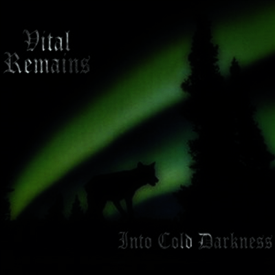 Vital Remains — Into Cold Darkness 앨범 커버