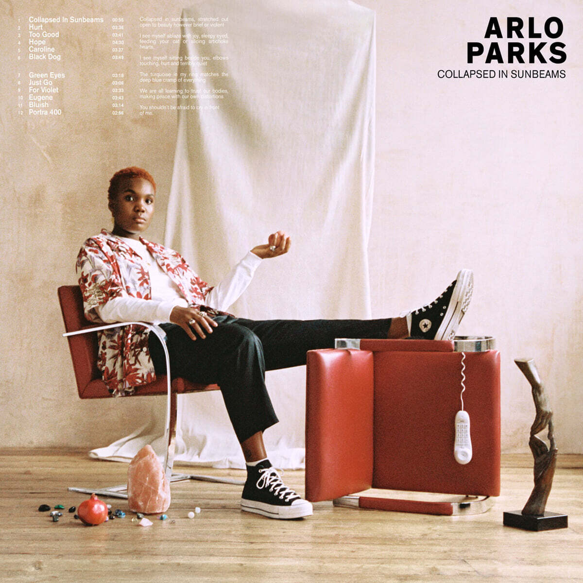 Arlo Parks (알로 팍스) - 1집 Collapsed In Sunbeams [딥 레드 컬러 LP]