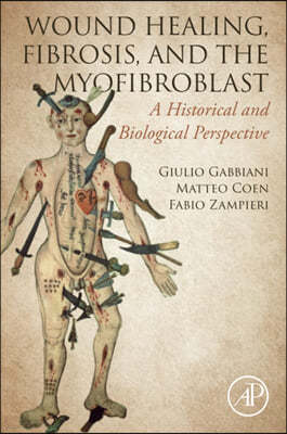 Wound Healing, Fibrosis, and the Myofibroblast: A Historical and Biological Perspective