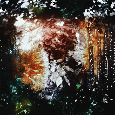 Sylvaine,Unreqvited — Time Without End 앨범 커버