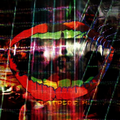 Animal Collective — Centipede Hz (Gatefold) 앨범 커버