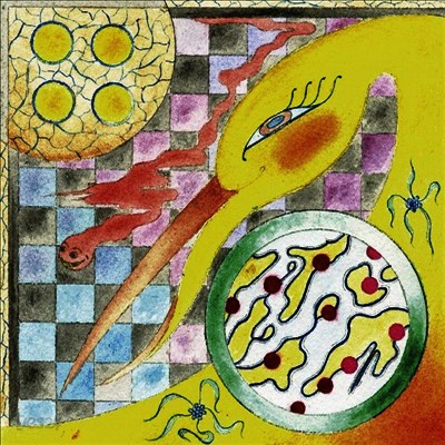 Wand - Perfume (LP)