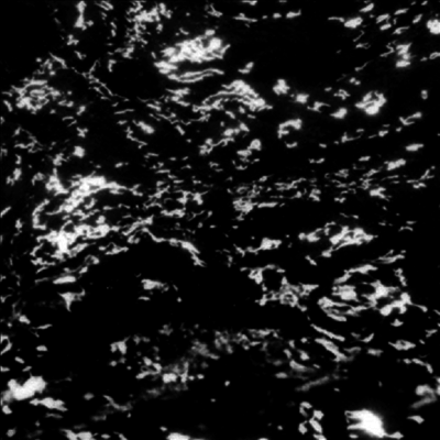 Grouper — Aia: Dream Loss 앨범 커버