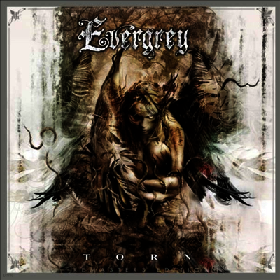 Evergrey — Torn (Remastered)(Gatefold) 앨범 커버