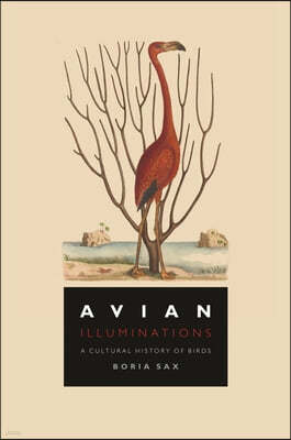 Avian Illuminations: A Cultural History of Birds