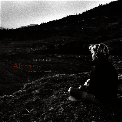 David Sylvian - Alchemy: An Index Of Possibilities (180g Vinyl LP)