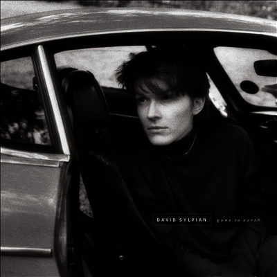 David Sylvian — Gone To Earth 앨범 커버
