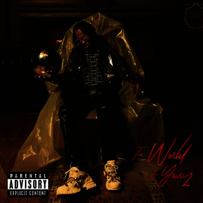Rich The Kid — World Is Yours 2 앨범 커버