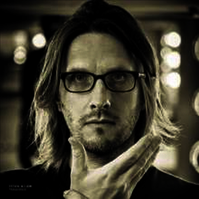 Steven Wilson — Transience (Gatefold Cover)(Limited Edition) 앨범 커버