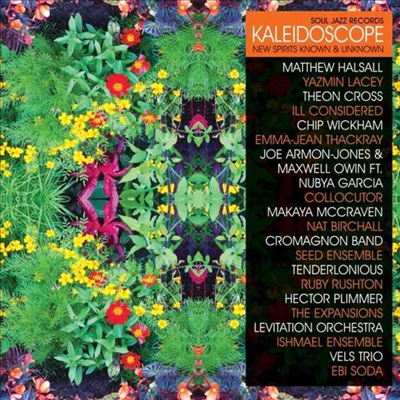 Various Artists — Kaleidoscope: New Spirits Known & Unknown (Deluxe Edition) 앨범 커버