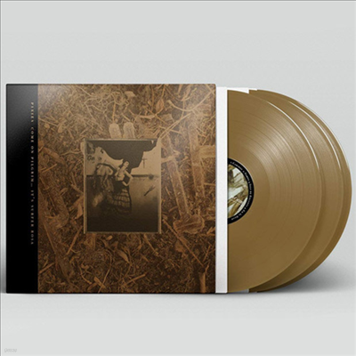 Pixies - Come On Pilgrim... It's Surfer Rosa (30th Anniversary Edition)(Gold 3LP)