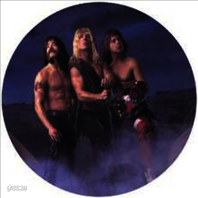 Spinal Tap - Break Like The Wind (Ltd. Ed)(Picture Disc)(Vinyl LP)