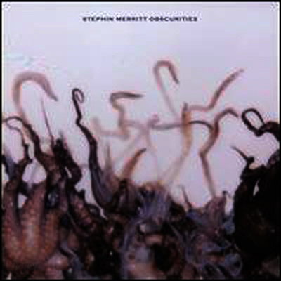 Stephin Merritt - Obscurities (LP)