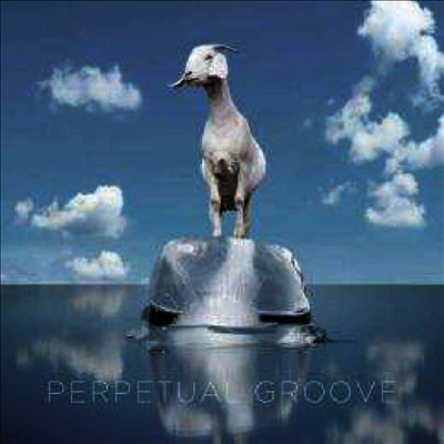 Perpetual Groove — Perpetual Groove 앨범 커버