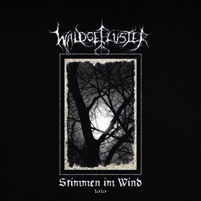 Waldgefluster — Stemmen Im Wind 2020 (MP3 Download) 앨범 커버