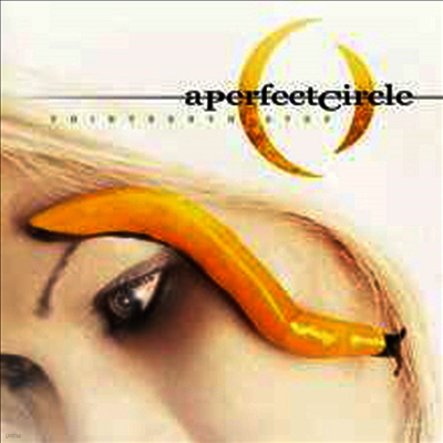 A Perfect Circle — Thirteenth Step (Gatefold Sleeve) 앨범 커버