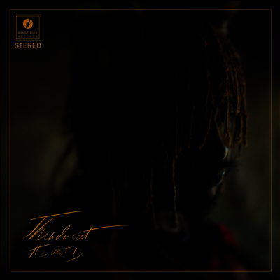 Thundercat - It Is What It Is (Digipack)(CD)