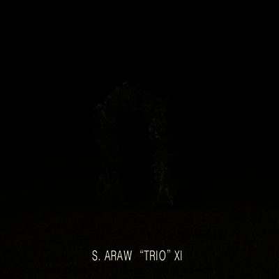 Sun Araw — Gazebo Effect 앨범 커버
