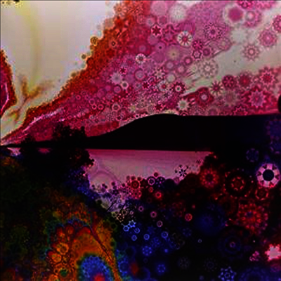 Chris Robinson — Phosphorescent Harvest 앨범 커버