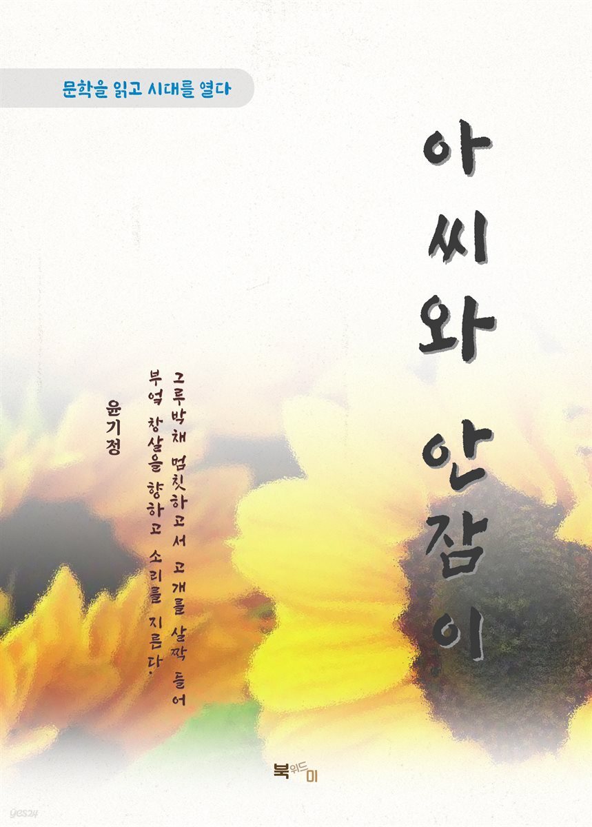윤기정 아씨와 안잠이