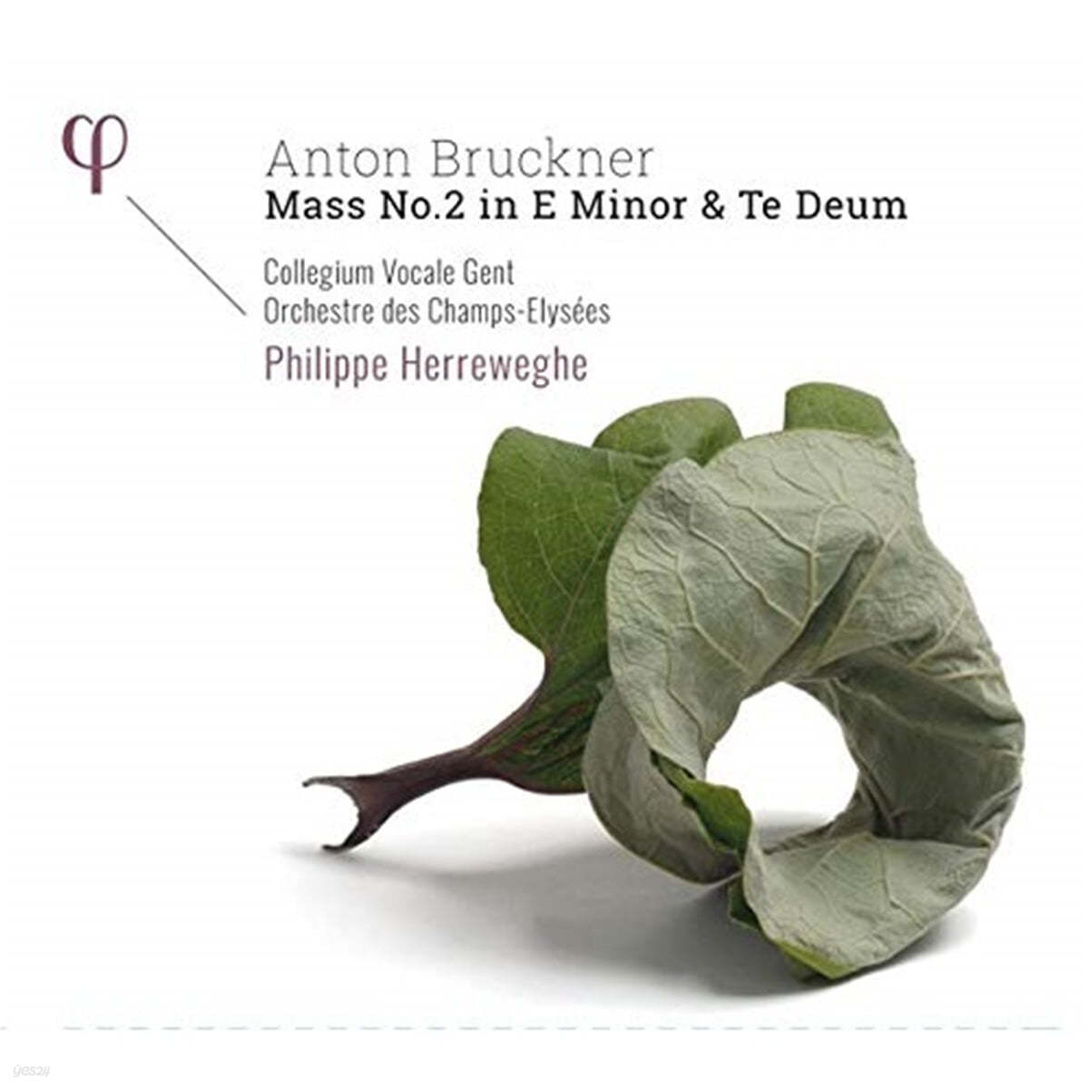 Philippe Herreweghe 브루크너: 미사곡 2번, 테 데움 (Bruckner: Mass No. 2 in E Minor, Te Deum WAB 45)