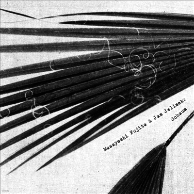 Masayoshi Fujita & Jan Jelinek — Schaum 앨범 커버