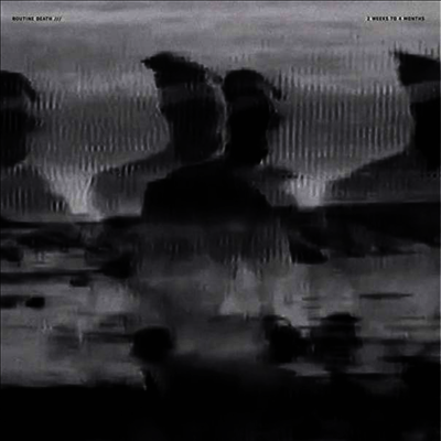 Routine Death — 2 Weeks To 4 Months (MP3 Download) 앨범 커버