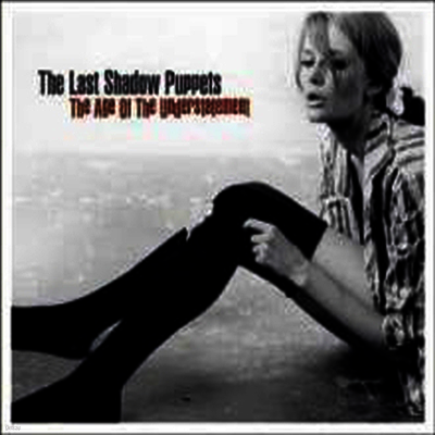 Last Shadow Puppets — Age Of The Understate 앨범 커버