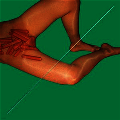 Peaches — Rub Remixed (Gatefold Cover) 앨범 커버