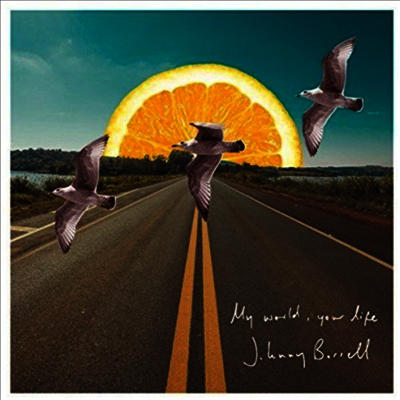Johnny Borrell - My World Your Life (7 inch Single LP)